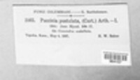 Image Associated With the Occurence